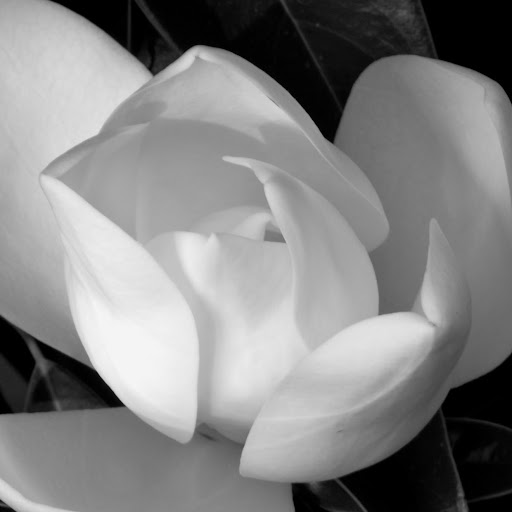 Allison Reed Photo 42 Allison Reed Photo 42