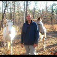 David Stickney Photo 17