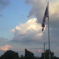 Steven Royer Photo 11