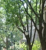 Kathy Wang Photo 2