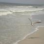 Sue Krohn Photo 24