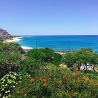 Sue Patterson Photo 10