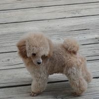 Lisa Newsom Photo 13