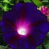 Michelle Michels Photo 11