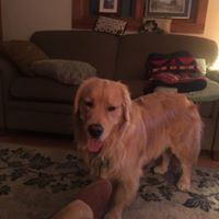 Kendall Webber Photo 4