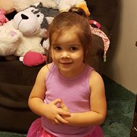 Diane Shoemaker Photo 17