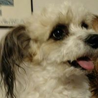 Janet Heffner Photo 4