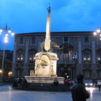 Mary Grasso Photo 28