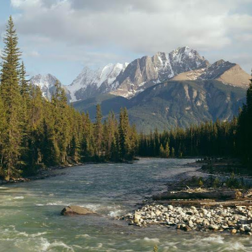 Joseph Conroy Photo 41