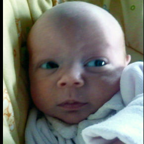 Janet Burdick Photo 7