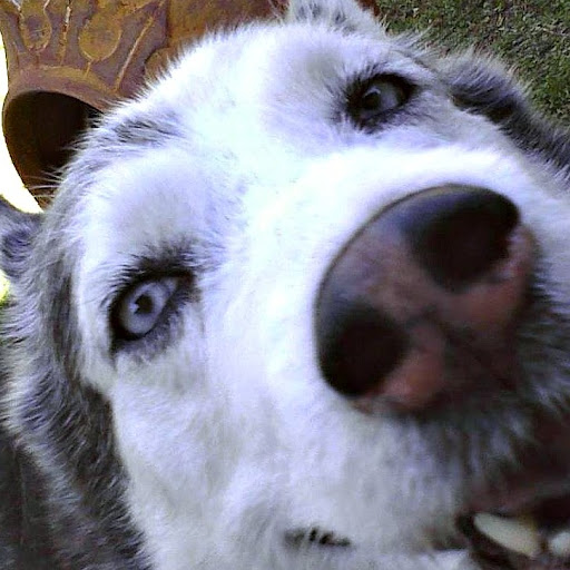 Sherry Graham Photo 7
