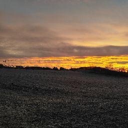 Victoria Weiss Photo 7