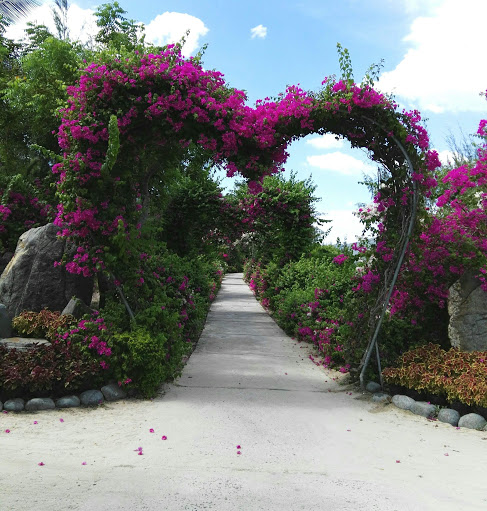 Nguyet Tran Photo 16