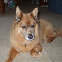 Cynthia Krueger Photo 27