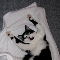 Annie Stuart Photo 18