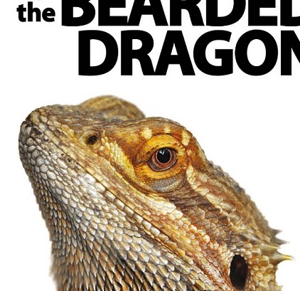 Curt Walker Photo 12