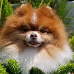 Laurie Ford Photo 40