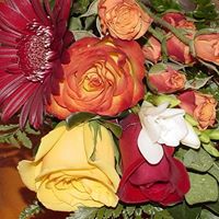 Susan Wiseman Photo 17 Susan Wiseman Photo 17