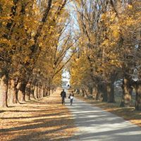 Steven Simons Photo 11