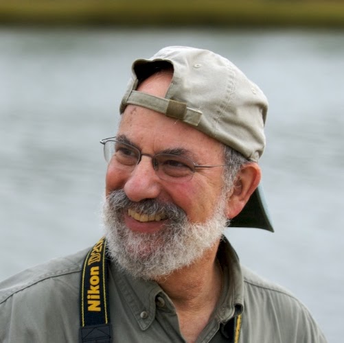 David Davidson Photo 29