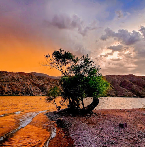 Jason Woods Photo 16