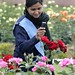Abid Qureshi Photo 14