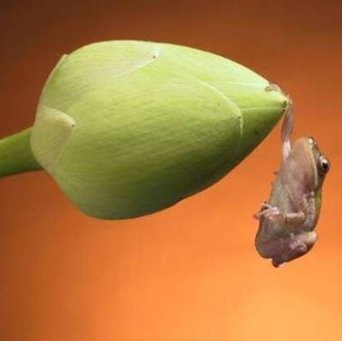 Jeremiah Fleming Photo 10