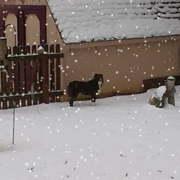 Billy Vincent Photo 9