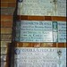 Elizabeth Ricketts Photo 35