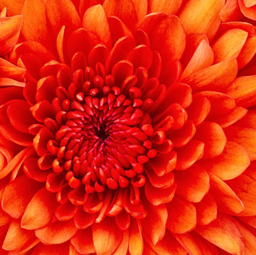 Sarah Frederick Photo 37