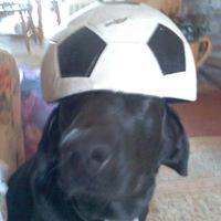 William Raymond Photo 37 William Raymond Photo 37