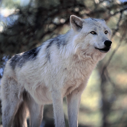 Jamie Blake Photo 39