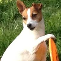 Dianne Erickson Photo 11