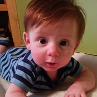 Deborah Vanhook Photo 2