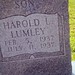 Harold Lyons Photo 19