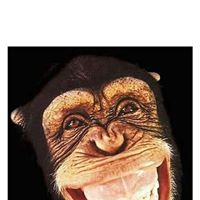 Sara Mcgregor Photo 19