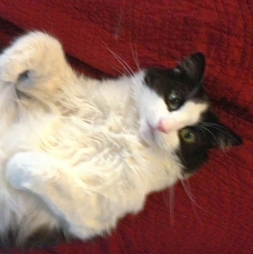 Christina Welch Photo 34