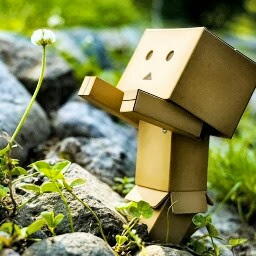 Steven Goodman Photo 42 Steven Goodman Photo 42