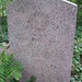 Robert Mcnutt Photo 20