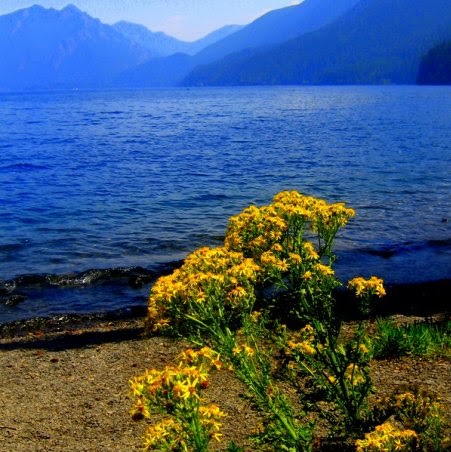 James Logsdon Photo 42