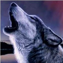 Lilly Carter Photo 3