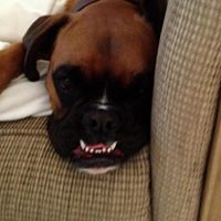 Ruth Hanson Photo 45