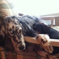 Jill Willis Photo 11