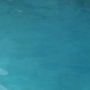 Vicki Walsh Photo 16