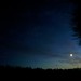 Dawn Bard Photo 15