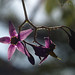 Lee Duda Photo 10