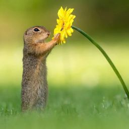 Teresa Doherty Photo 8