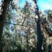 Barbara Groves Photo 35