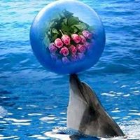 Cindy Huggins Photo 9