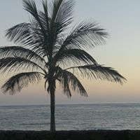 Pauline Robertson Photo 29